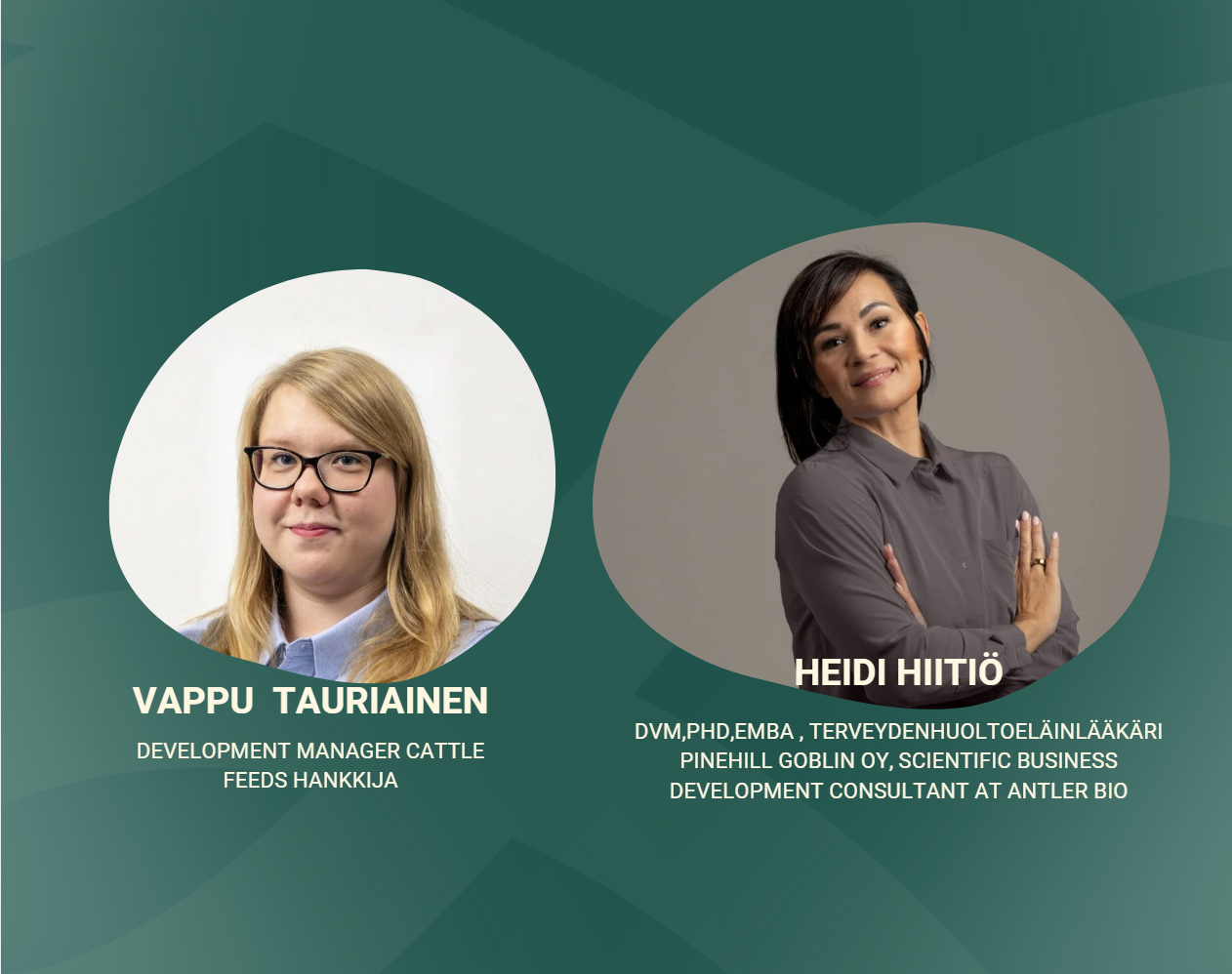 Vappu Tauriainen ja Heidi Hiitiö - Seleenin merkitys maidon tuotannossa